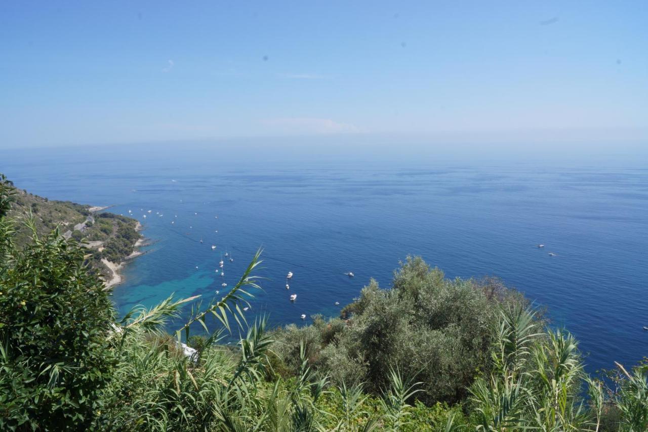 Total Sea View Grimaldi Apartment Ventimiglia Bagian luar foto